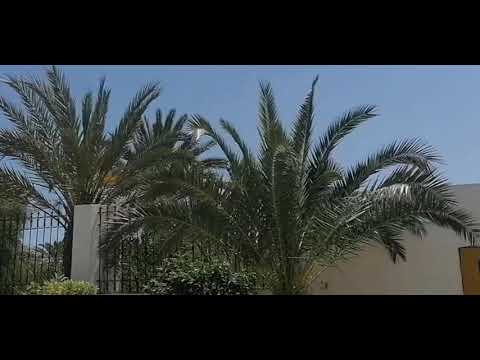 ماذا نقول عند سماع الأذان