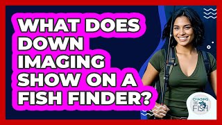 What Does Down Imaging Show On A Fish Finder? - Chasing Big Fish