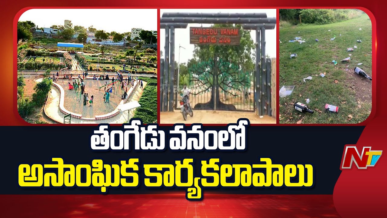 Illegal Activities in Tangedu Vanam Park Due to Lack of Surveillance | Choutuppal | NTV Telugu