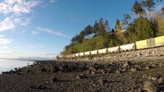 BNSF Train Passing by, White Rock / Surrey, BC