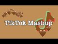 TikTok Mashup 2020 (not clean)