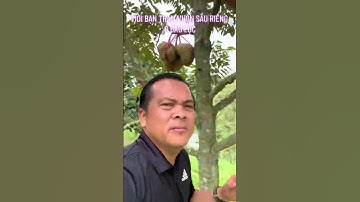 Cà phê VÂN NGUYỆT CÁC. Đồi mây Lộc Thành - BẢO LỘC - săn mây - Nguyễn An Nhơn