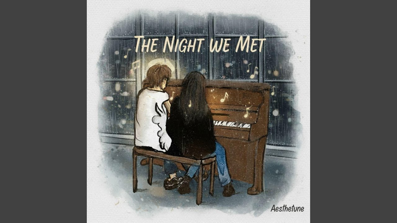 The Night We Met
