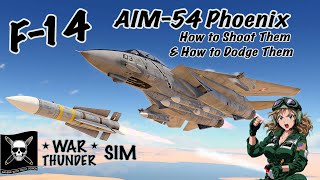 F-14 And Aim-54 Phoenix How To Fire And Dodge The Missile In Sim - War Thunder Gameplay Tutorial