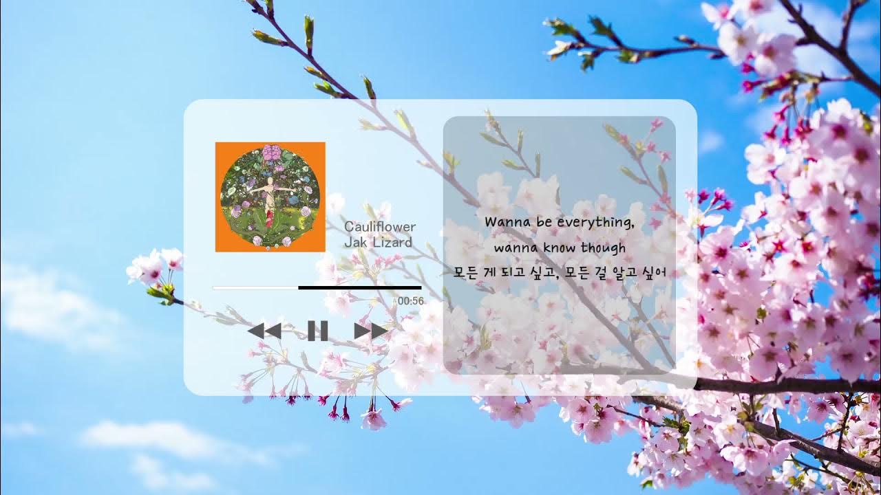 🥦Cauliflower Jak Lizard🥦 [가사/한글 번역] YouTube