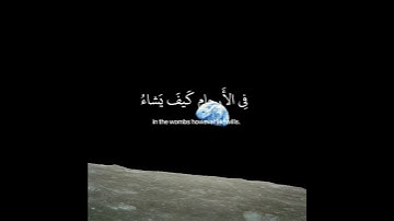 راحة نفسية القارئ عبدالرحمن مسعد اللهم صلي وسلم وبارك على سيدنا محمد❤✨