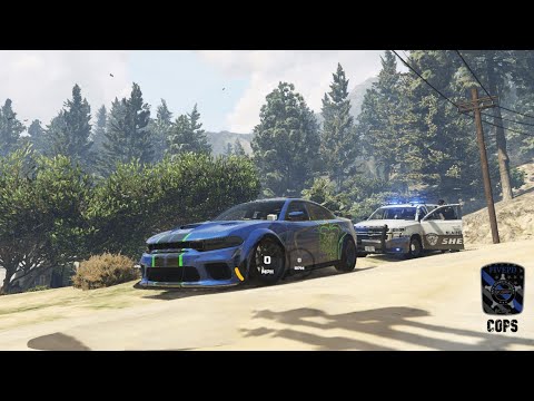 He Really Thought He Would Get Away With A Bolo | BCDOJRP Police RP ...