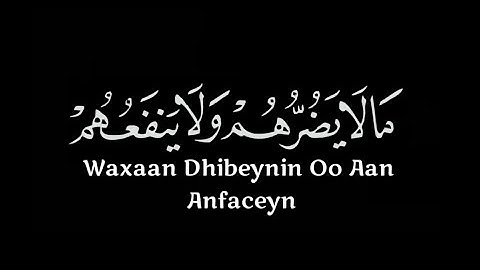 ويعبدون من دون الله مالا يضرهم شاشة سوداء | كرومات قرآن كريم | عبد الرحمن مسعد حالات واتس