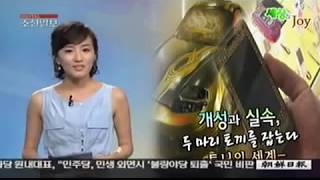 ★세상엔조이쇼킹카★