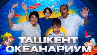 картинка: ЕҢ ҮЛКЕН ОКЕАНАРИУМҒА ВЛОГ😍
