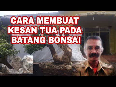 Video: Cara Membuat Kesan Penuaan