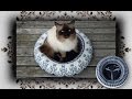 DIY 😻 Fleece Bettchen für Katzen & Hunde | Handmade Cat Bed