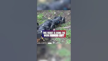 This Robot Does the Work Farmers Can