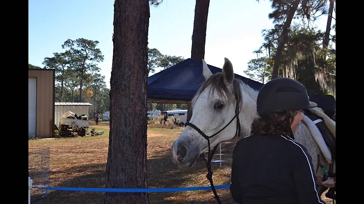 Etoniah Autumn Gallop