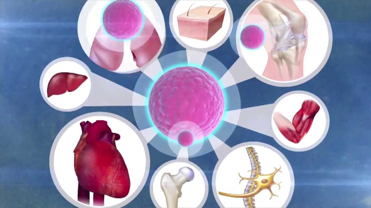 [Clip] ศิริราช360° : สเต็มเซลล์บริสุทธิ์ ครั้งแรกของโลก : มหัศจรรย์ Stem Cell