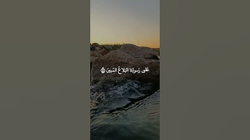 سورة التغابن: القارئ محمد حسين عامر