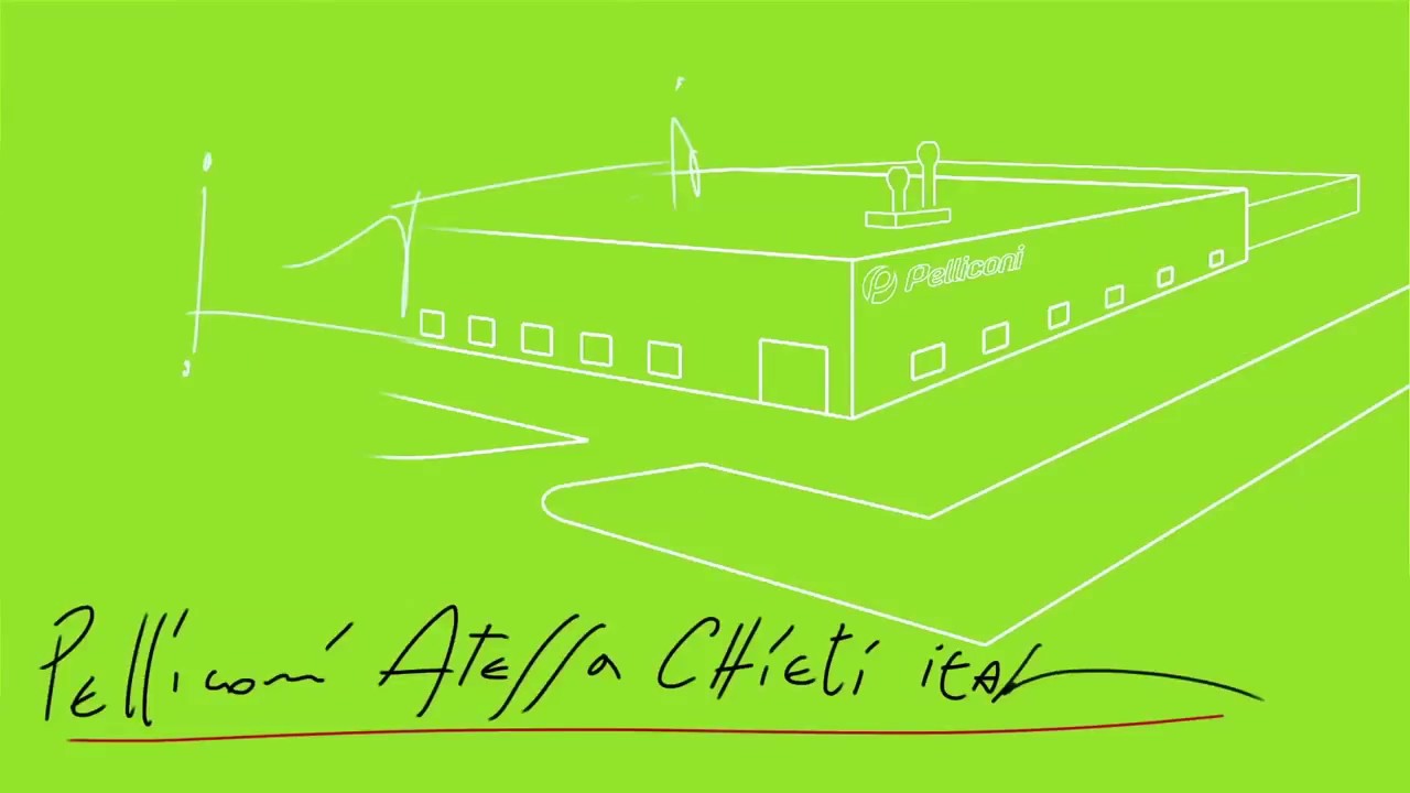 Pelliconi's Notebook