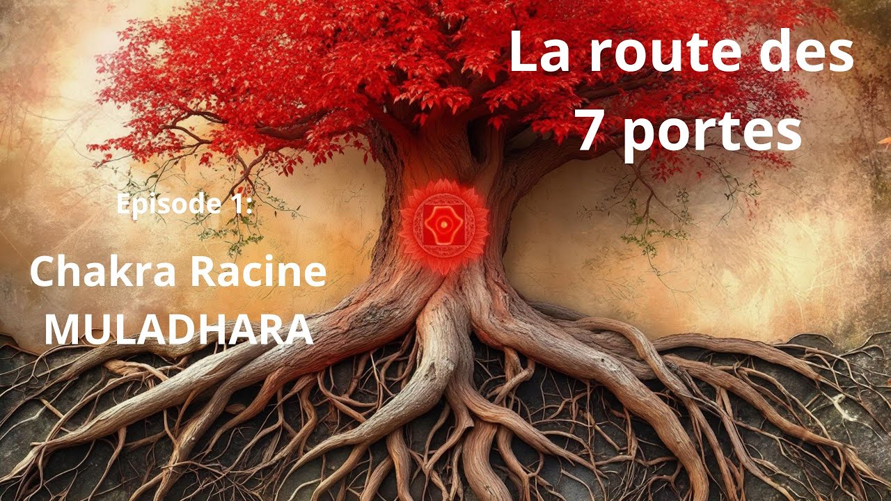 🌿 Chakra Racine 