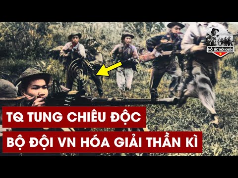 Trận Giáp Lá Cà Bộ Đội VN Bị TQ Dồn Vào Chân Tường Và Kết Cục Không Tưởng- Hồi Kí Việt Trung 1979 #1