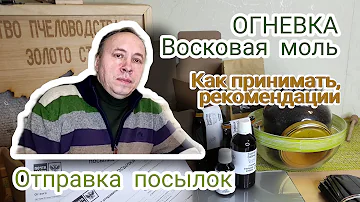 ОГНЕВКА (восковая моль). Дозировки, как принимать, рекомендации. Посылки. ПЖЛВМ, ферментоконцентрат