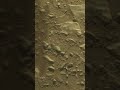 The LEFT eye of Perseverance saw something on Sol 1,766 that the RIGHT eye will never see 👀🪐 #mars