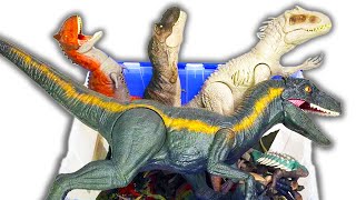 HUGE Jurassic World Carnivores vs. Herbivores Collection! Trex, Brachiosaurus, Triceratops Dinosaurs