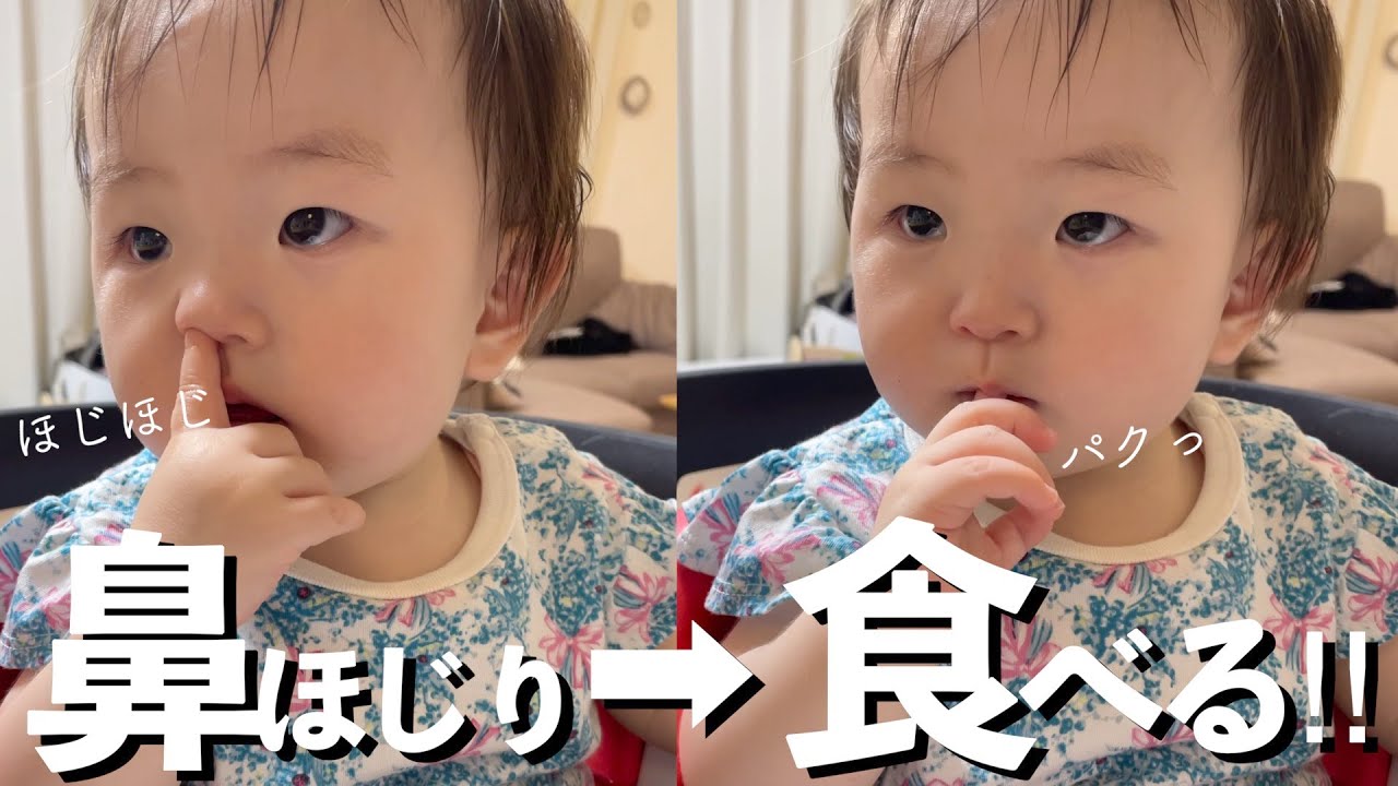 赤ちゃん面白動画 鼻くそをほじり食べる 赤ちゃんが可愛い Shorts Youtube