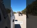 I was driving the car and was looking at the elephant, look the elephant was in a mood to attack..🐘