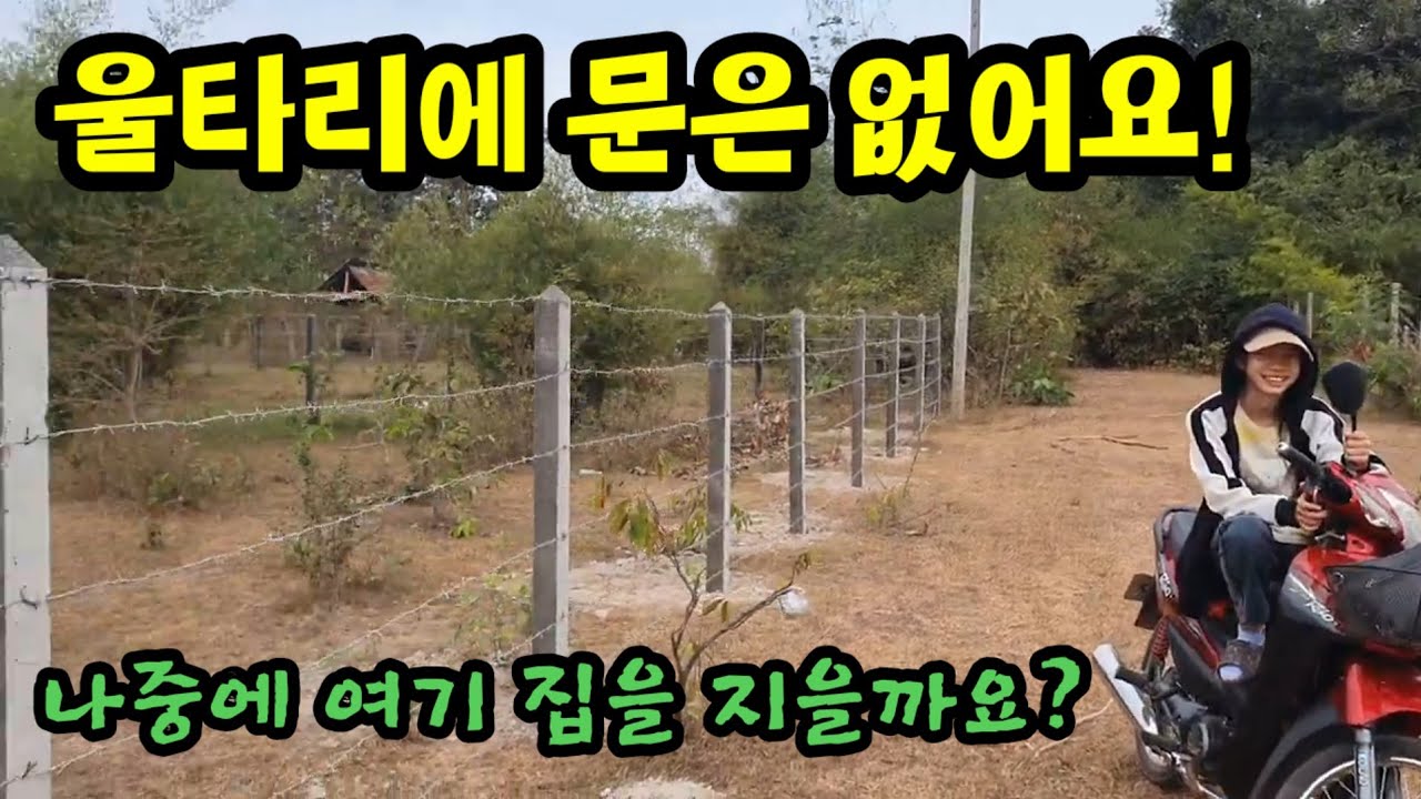 한국 남편이 사준 라오스 비엔티안 땅에 제가 울타리 만들었어요!