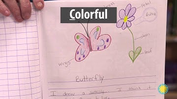 Organisms– Notebooking