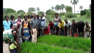 Gender Agriculture-NBC
