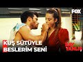 Eriyen Özgür Yapmışlar - Bay Yanlış 6. Bölüm