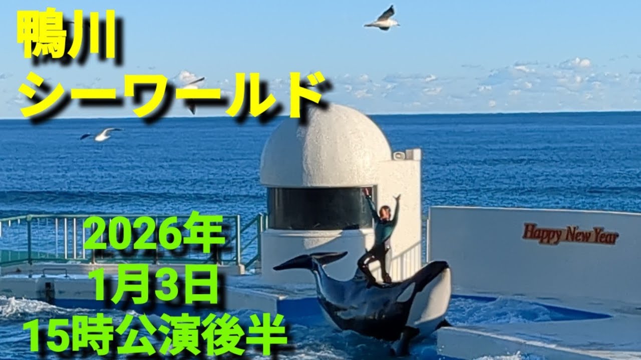 鴨川シーワールド🩷2026年1月3日15時公演後半🚃往復1342円✖2=2684円