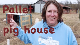 How we built a Pig House for UNDER $40 in LESS THAN one hour!