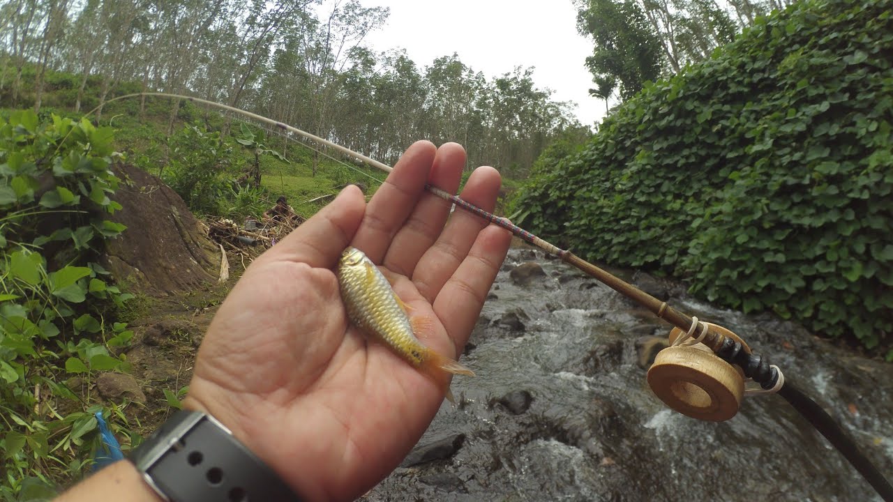 Mancing Wader Beunteur di Hutan Karet Pakai Joran Lentur