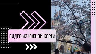 Как прошел наш апрельский тур по Южной Корее #video