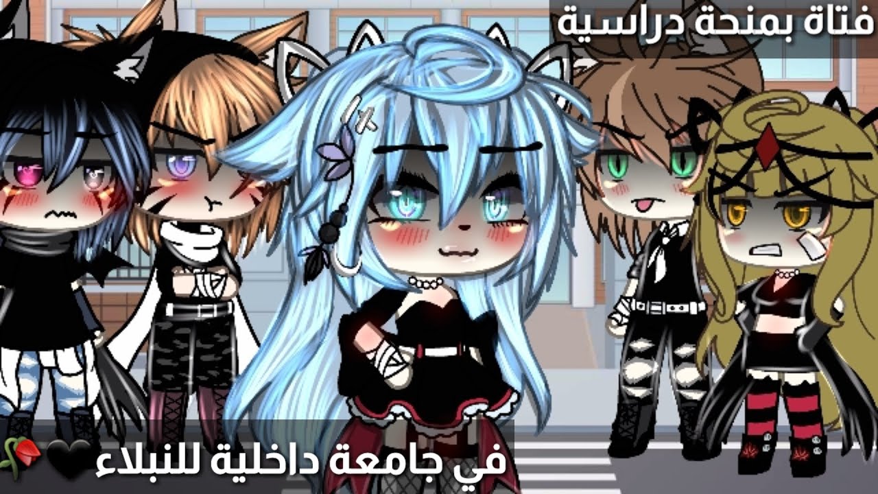 قصة بعنوان 🕵️‍♂️فتاة جميلة بمنحة دراسية في جامعة للنبلاء🖤🥀16دقيقة🦋رومنسيةدراماحماس✨قصص قاشا لايف❤