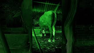 ghost video bhoot video sounds 😱#ghost #horror #bhoot_video #youtuber #spooky #scary #halloween #yt