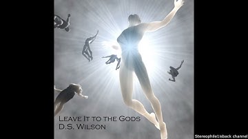 D.S. Wilson - Leave It to the Gods