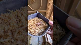 Unexpected Java Finch Baby Found 😥 #ardailypetvlogs #javafinchbird #petshorts