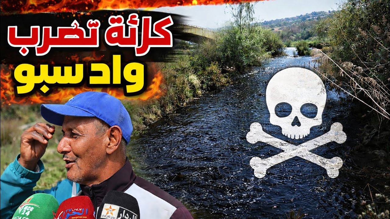 واد سبو ضواحي فاس تحت خطر كارثة بيئية بسبب المرج الذي تلقيه المعصرات الخاصة بطحن الزيتون