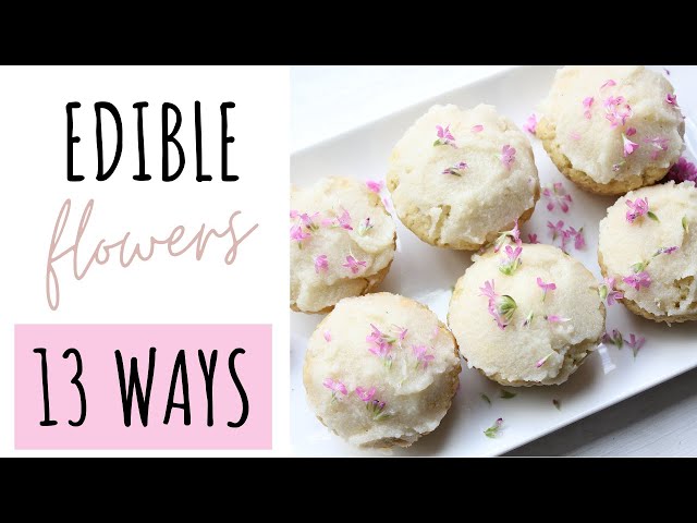 6 Ways to use Edible Flowers - Easy Recipe Ideas