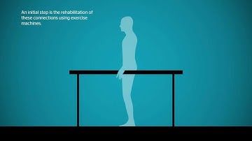 The Mobility Revolution | Video-infographic