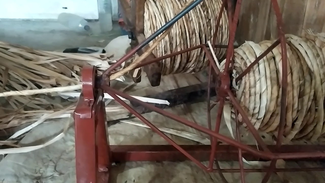 proses giling debok/pelepah pisang