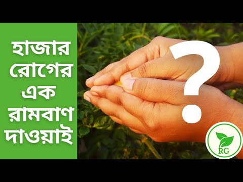 ভিডিও: ফুলের রোগ সম্পর্কে সব