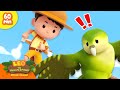  birds of the world  catch that parrot   1 hour  leo the wildlife ranger  kids cartoons