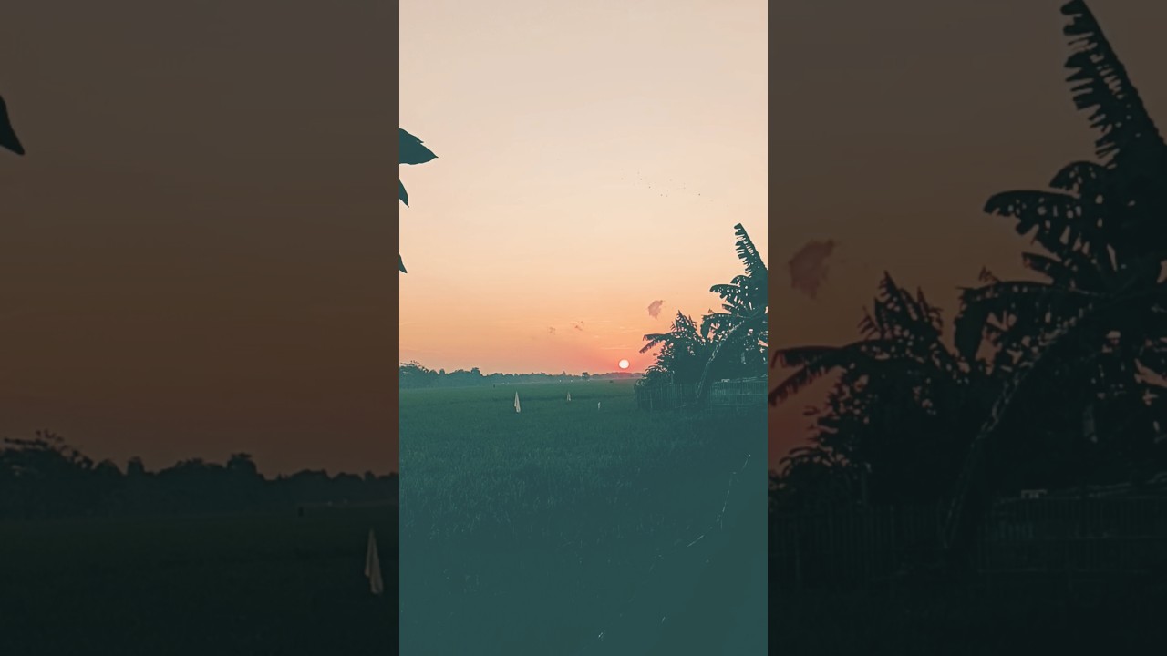 senjaku #love #jalanyangjauhjanganlupapulang #sunset #senja #rice