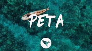 Roddy Ricch - Peta (Lyrics) feat. Meek Mill