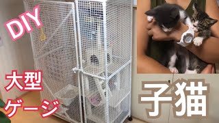 保護した子猫の為に大型ケージを自作してみた