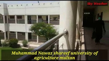 Muhammad Nawaz shareef university of agriculture multan | Beautiful Greenery Hd 2020